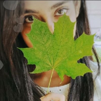 GOLT24137172's profile picture. UNTOLD