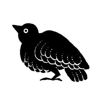 horikita aki ／ 堀北阿希 (@akihorikita) Twitter profile photo