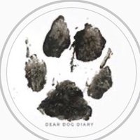 Dear Dog Diary(@DearDogDiary3) 's Twitter Profile Photo