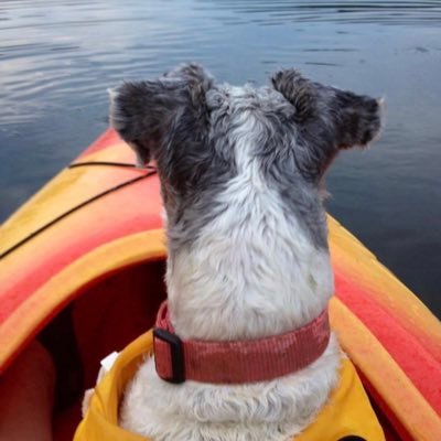 dawnfratangelo's profile picture. Brain Aneurysm Survivor! 3X, 22yr NBC News,Dateline, Today Anchor NBC News, WNBC NY, WCVB Boston, KFMB San Diego, WPTZ-TV, Plattsburgh/VT, USAF Brat & Proud🇺🇸