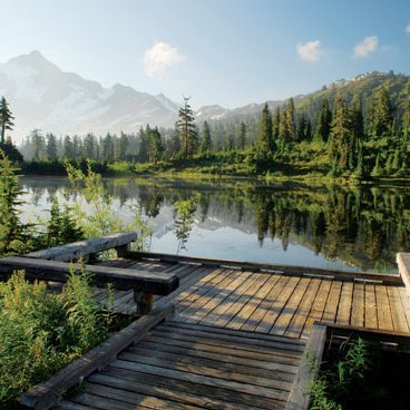 IzarraW's profile picture. 