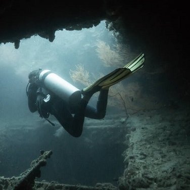 Our website explains everything about scuba diving and snorkeling, especially dive sites, courses, marine life, equipment, and safety.
#scuba #diving #thailand