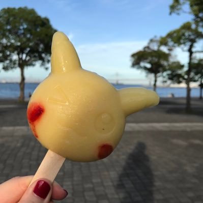 ポケモン💛ピカチュウ💛だいすき！！