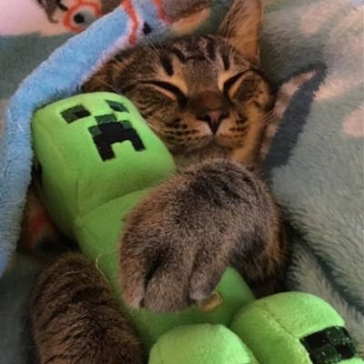 SuicideBoys1939's profile picture. gay 21 male