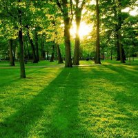 Our_Environment (@way2greenworld) 's Twitter Profile