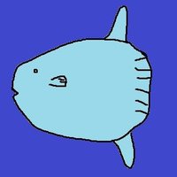 개복치 (@akeopo) 's Twitter Profile