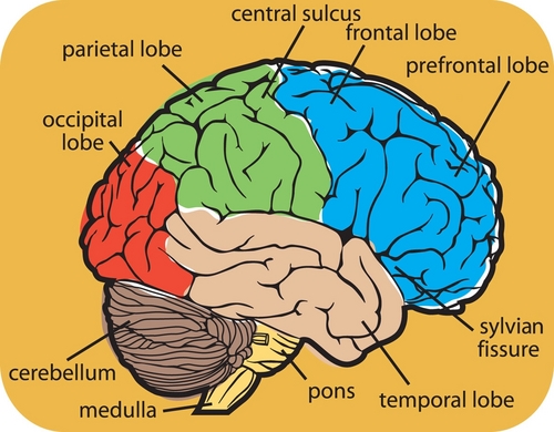 You wanna be a little more smarter? then follow us! we have the things to know!