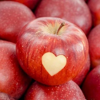 PCore's profile picture. Every day change happens.  Keep on growing! 
Growth means choosing happiness over history and never looking back.

PO Box 85
West Branch, IA 52358