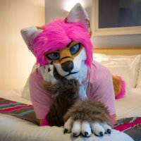 Caylen Foxheart™ 🦊💜 (@caylenfoxheart) 's Twitter Profile Photo