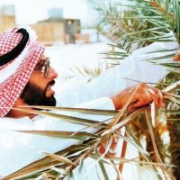 ساره (@_salameri) 's Twitter Profile Photo