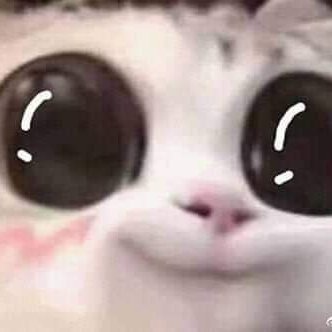 solahishere's profile picture. 