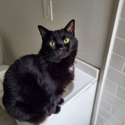 ExplainerThing's profile picture. Were we supposed to have a quote?