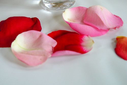 MaPetiteFete's profile picture. Fresh Flowers & Event Rentals For EVERY Budget. Check out my FB page and 'like' us! http://t.co/Mccftb9PyV