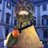 oidipci's profile image
