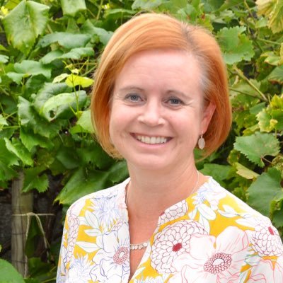 AnnVLim's profile picture. Geniet van muziek, cultuur, (Italiaanse) wijn met vrienden, lesgeven en kinderopvang.