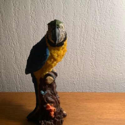 JoostJordens1's profile picture. 