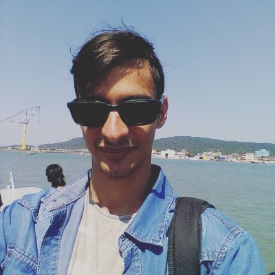 Victorvmsant's profile picture. 私は猫が好きです