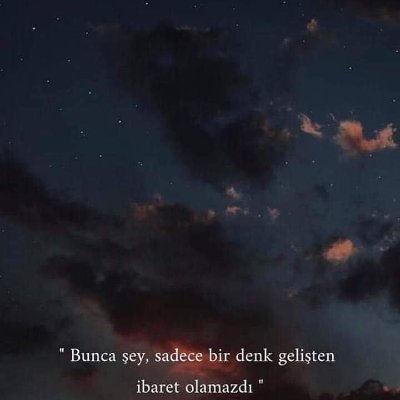 bersd7's profile picture.