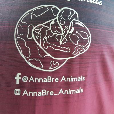AnimalsAnnabre's profile picture. We take care of and breed Ball Python, feeder rats (ASF & Rats) 
We also need Fancy  Rays for pets