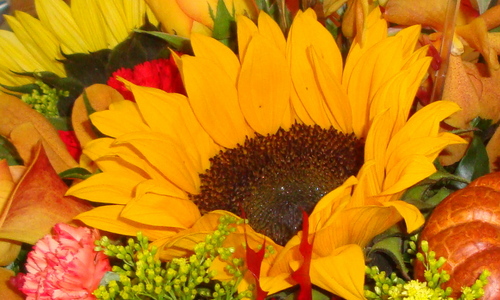 Educator, Administrator, Mother, Grandmother...New to Twitter!