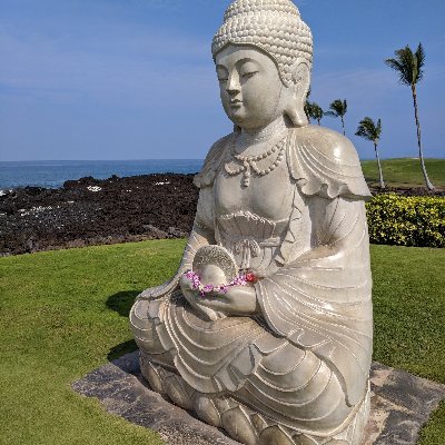 StezenSlm's profile picture. presence consciousness