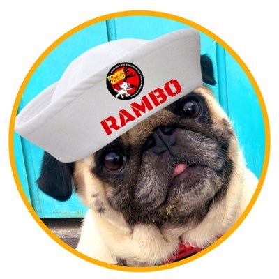 Highly qualified: MD-Master of Dogs, PhD-Pug of High Distinction. I AM here 2 help tweet💚2 the🌏! Proud member of #TheRuffRiderz N #ZHSQ