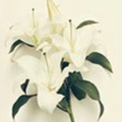 Goldclock37's profile picture. とりあえず自分の年齢度外視で平手友梨奈さんを応援しています。成人した2人の子供の母です。宜しくお願いします