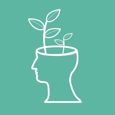 reconectaccp's profile picture. Organización comunitaria de salud mental
