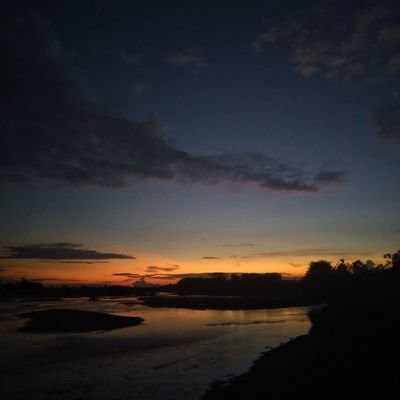 mateorico's profile picture. 