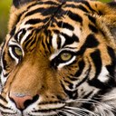 Ted Heath - @22091922 - Twitter