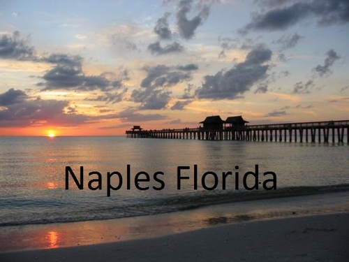 NaplesRealtorFl's profile picture. 
