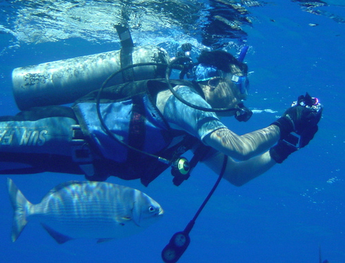 cotton0511's profile picture. 2008年にｱﾗﾌｨﾌﾃｨの仲間入り   
皇彌榮
「日本を豊かに、強く」