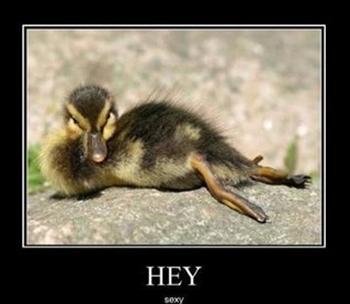 macbug2017's profile picture. 