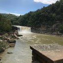 lexi brock - @lexinichole155 - Twitter