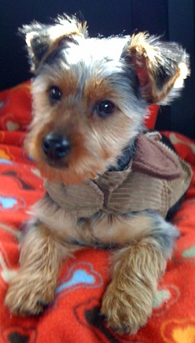 MoMo4rmTx's profile picture. I am happily 35 year old, married woman, with 2 teen-age daughters who think who rule my world, lol. Work for an Ophthalmologist in Plano, TX