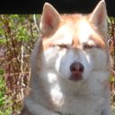 joseph zingale - @woon007 - Twitter