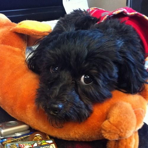 utahba5's profile picture. 