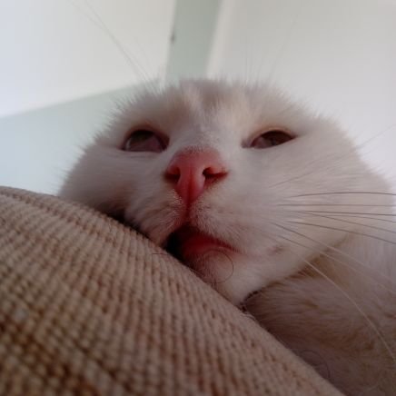 Haydenaut's profile picture. 