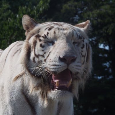 e_edachan's profile picture. 東で計算するの辞めました