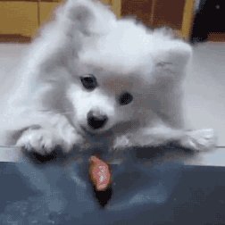 BiggestMacster's profile picture. Average Gamer 🚫 Virgin