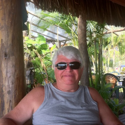 dantegallian's profile picture. 