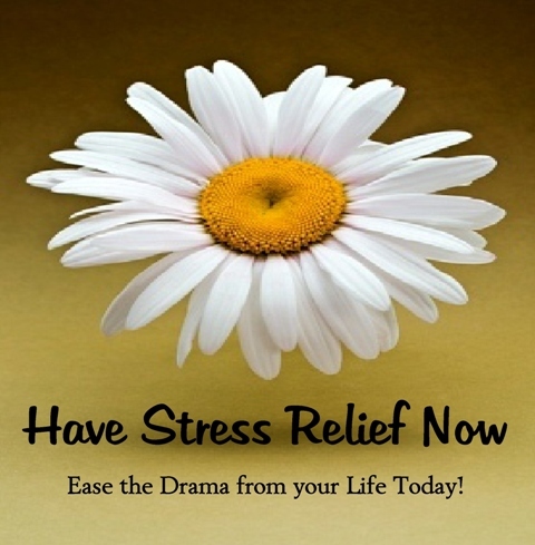 Have Stress Relief Now Life is dedicated to finding ways to relieve your everyday stress on various levels.