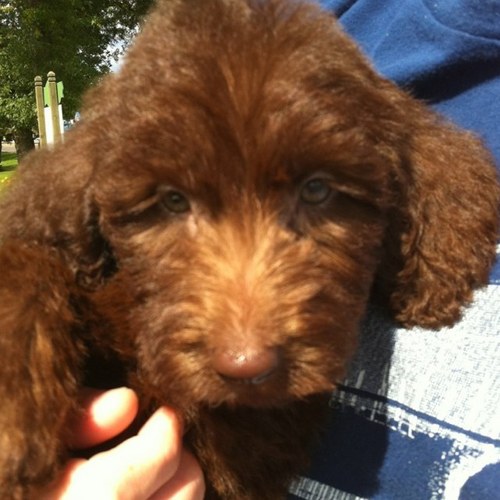 menegene16's profile picture. 