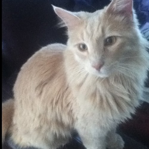 Hannahfaith27's profile picture. 