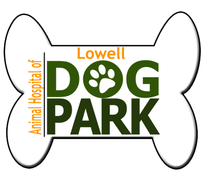 Animal Hospital of Lowell Dog Park.