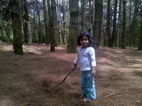 bautistadriana's profile picture. 