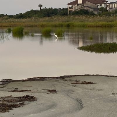 We connect travelers and locals with all the points of interest on SSI & the Golden Isles