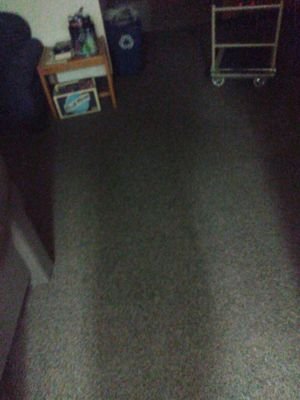 12starpoints's profile picture. God bless your heart! - SUBJECT 01