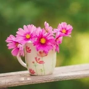 Neshaneha1's profile picture. سفر و طبیعت گردی