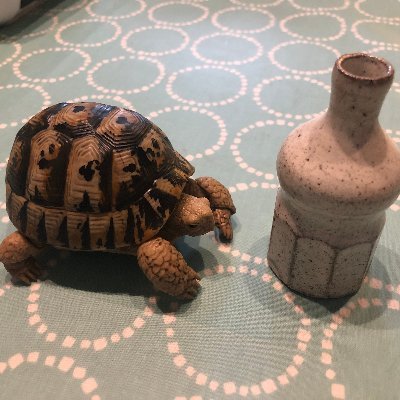 hiro2fuji's profile picture. 生物物理と化学物理の間を行ったり来たりしています。